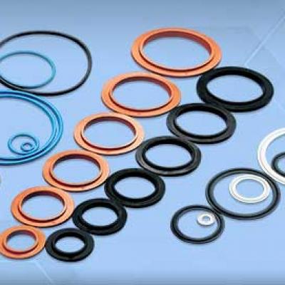 Gaskets for stainless steel fittings